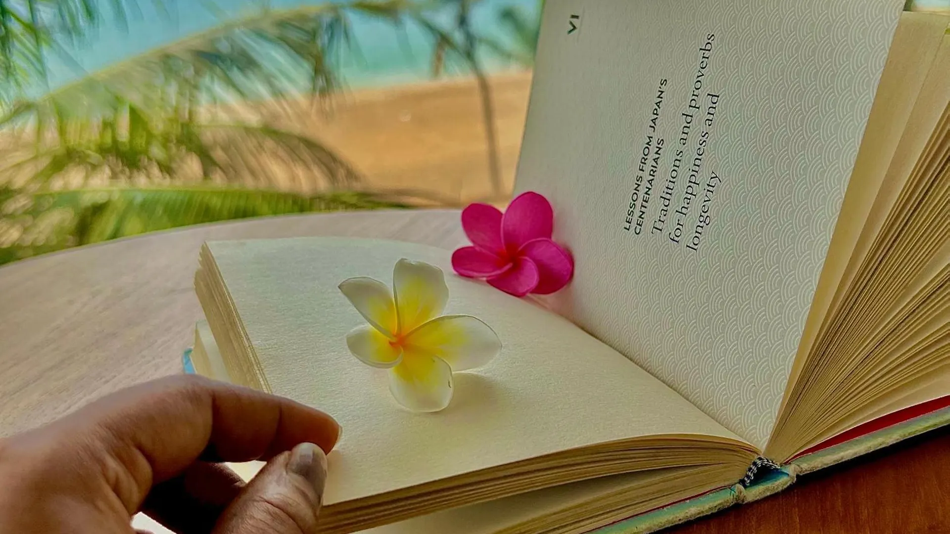 Santa Maria, Trivandrum - An Airport Boutique By The Sea Bed & Breakfast Thiruvananthapuram