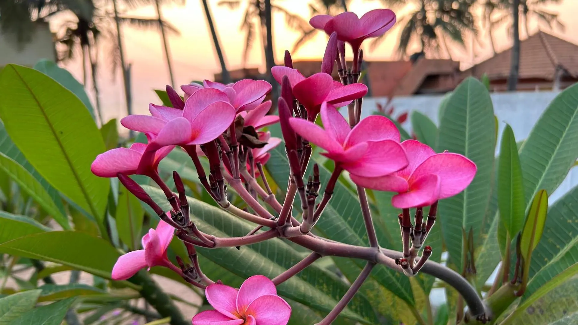 Santa Maria, Trivandrum - An Airport Boutique By The Sea Bed & Breakfast Thiruvananthapuram